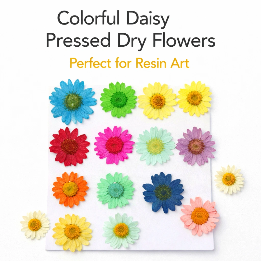 Multicolor Daisy Pressed Dry Flowers for Resin Art (Pack of 12) Multicolor Daisy Pressed Dry Flowers for Resin Art (Pack of 12)