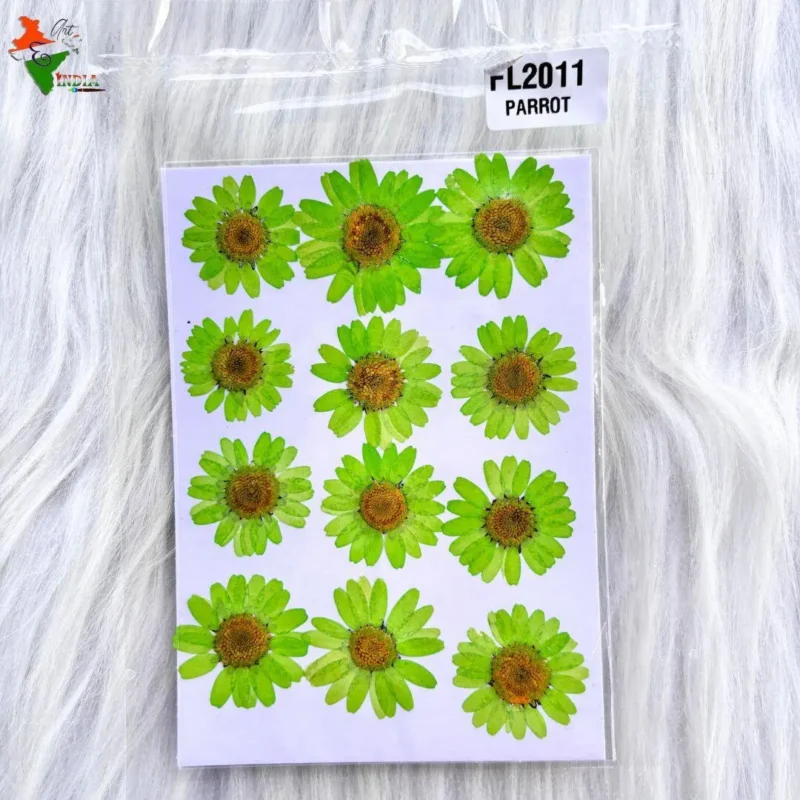 Parrot Daisy Pressed Dry Flower For Resin Art