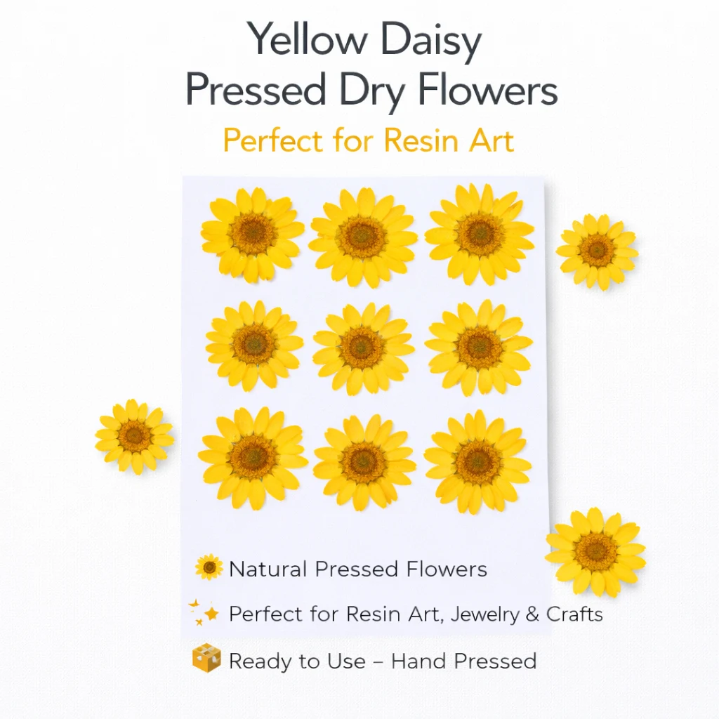 Yellow Daisy Pressed Dry Flower for Resin Art Yellow Daisy Pressed Dry Flower for Resin Art