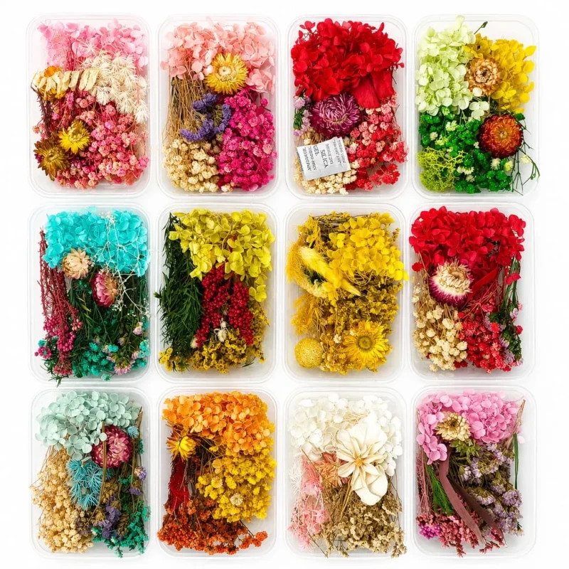 Mix Dry Flower Box for Resin Art