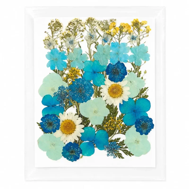 35-in-1 Sky Blue Premium Pressed Dried Flower Pack for Resin Art