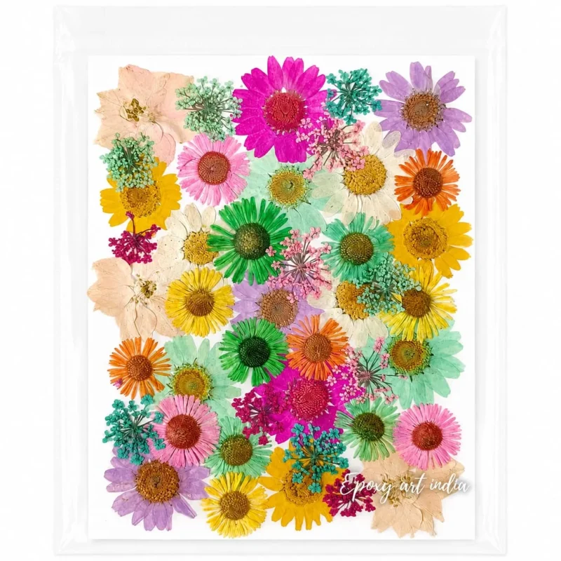 35-in-1 Premium Mixed Pressed Dried Flower Pack for Resin Art