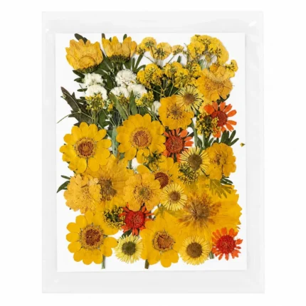 35-in-1 Yellow Premium Pressed Dried Flower Pack for Resin Art