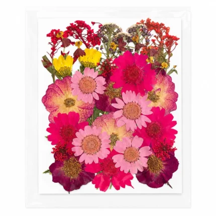 35-in-1 Red Premium Pressed Dried Flower Pack for Resin Art